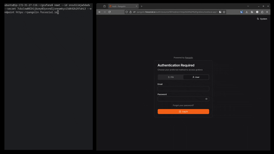 Reverse proxy access