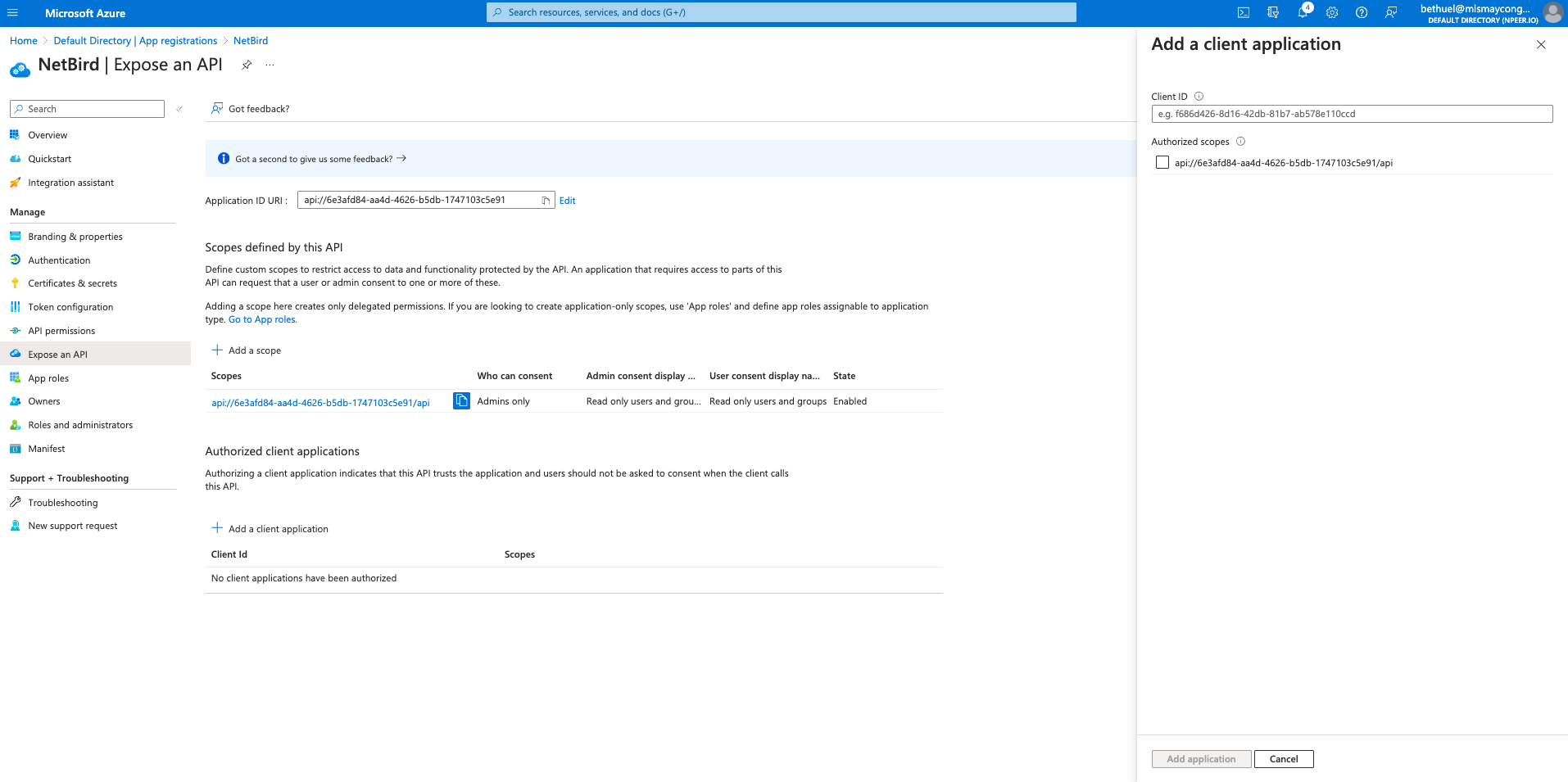 azure-authorize-application